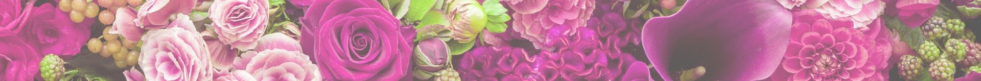 צמחים לבית ולמשרד