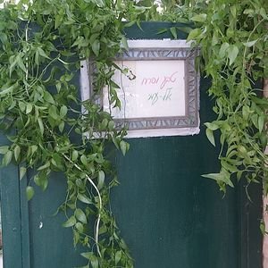 סטודיו טבע ופרח