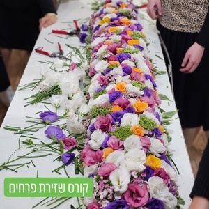 קורסים וסדנאות