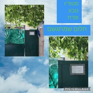 קורסים וסדנאות