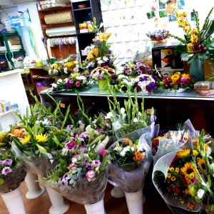 סטודיו טבע ופרח