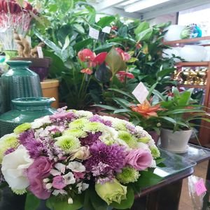 סטודיו טבע ופרח