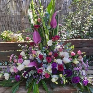 משולש בסגול עם פרחי אנטוריום